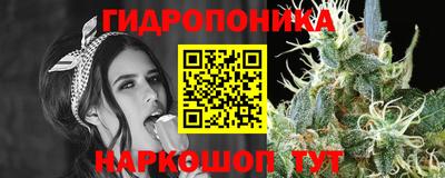 Альфа ПВП Гусиноозёрск