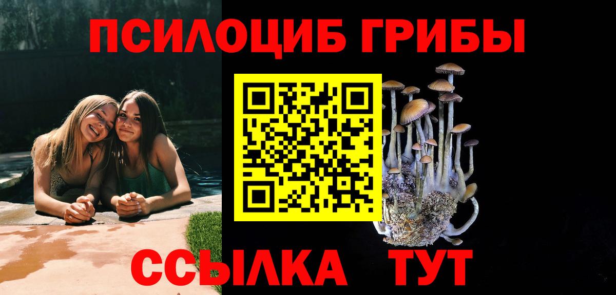 Галлюциногенные грибы мухоморы  Псилоцибиновые грибы Psilocybine cubensis  Вход с VPN  Выкса 